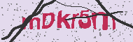 Güvenlik Kodu