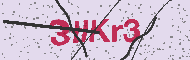 Güvenlik Kodu