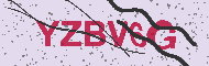 Güvenlik Kodu
