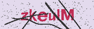 Güvenlik Kodu