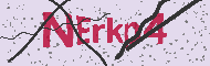 Güvenlik Kodu