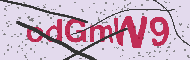 Güvenlik Kodu
