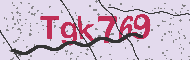 Güvenlik Kodu
