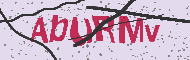 Güvenlik Kodu