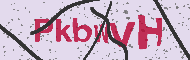 Güvenlik Kodu