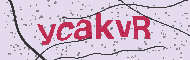 Güvenlik Kodu