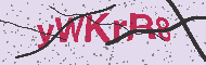 Güvenlik Kodu