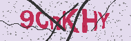 Güvenlik Kodu