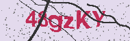Güvenlik Kodu