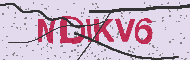 Güvenlik Kodu