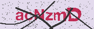 Güvenlik Kodu