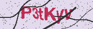 Güvenlik Kodu