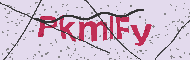 Güvenlik Kodu