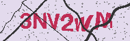 Güvenlik Kodu