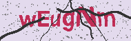 Güvenlik Kodu