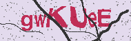 Güvenlik Kodu