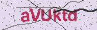 Güvenlik Kodu