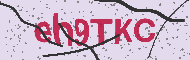 Güvenlik Kodu