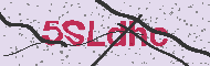 Güvenlik Kodu