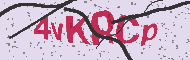 Güvenlik Kodu