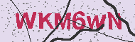 Güvenlik Kodu