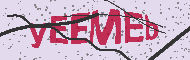 Güvenlik Kodu