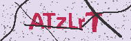 Güvenlik Kodu