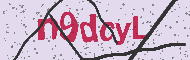 Güvenlik Kodu