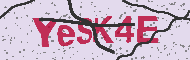 Güvenlik Kodu